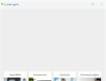 Tablet Screenshot of deyel.com
